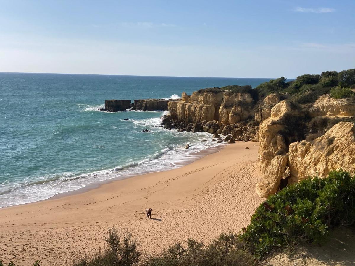 Albufeira Portugal Maria Apptアパートメント エクステリア 写真